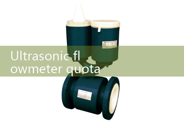 Ultrasonic flowmeter quotation